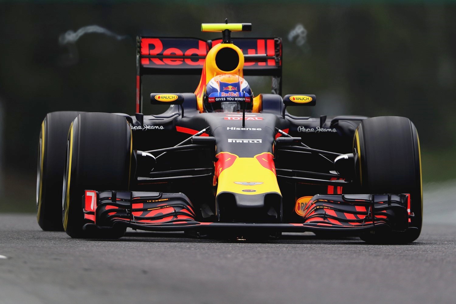 Max Verstappen