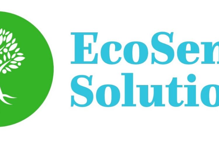 Aqua Mizer & EcoSense Solutions Comes Joins Dale Coyne for Indy