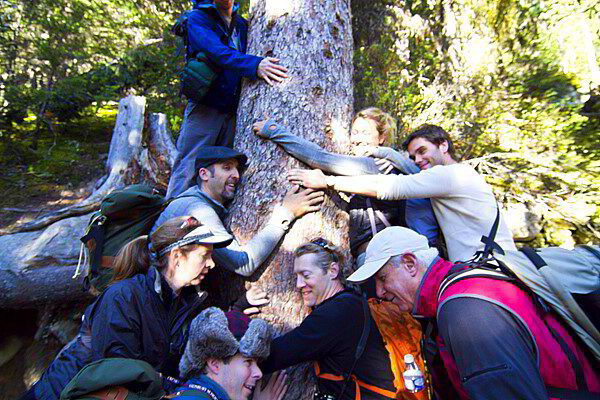 Tree Huggers protest in Baltimore