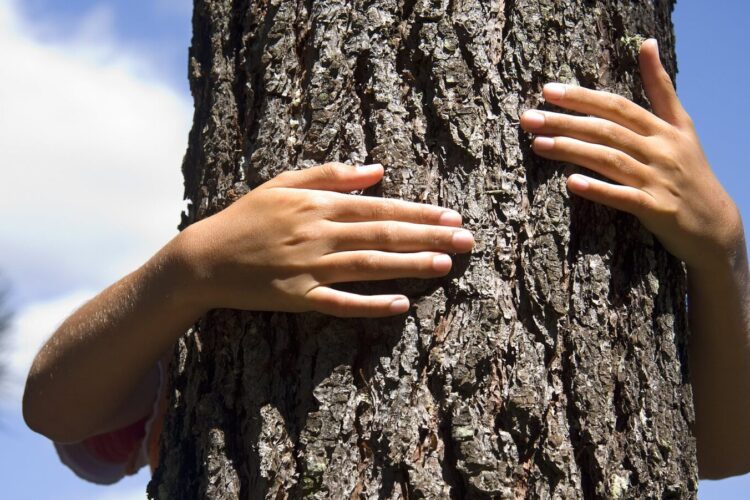 Automotive: Tree-hugging couple learns hard lessons of EV driving