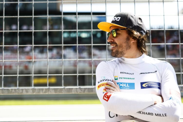 Alonso will not race in F1 in 2019