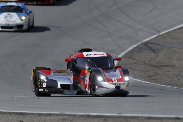 DeltaWing will not race this weekend